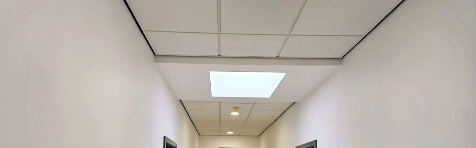 Suspended Ceilings
